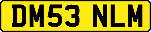 DM53NLM