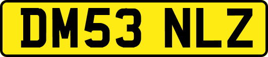DM53NLZ
