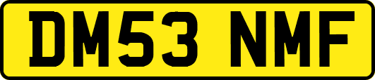 DM53NMF