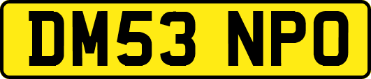 DM53NPO