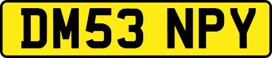 DM53NPY