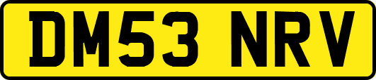 DM53NRV