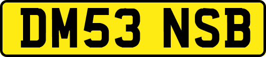 DM53NSB