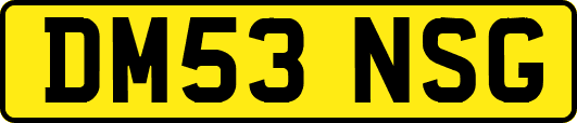 DM53NSG