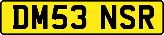 DM53NSR