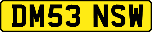 DM53NSW
