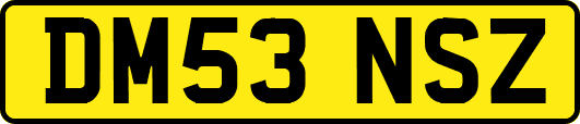 DM53NSZ