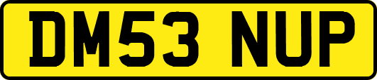 DM53NUP