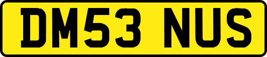 DM53NUS