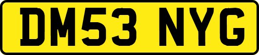 DM53NYG
