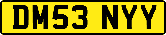 DM53NYY