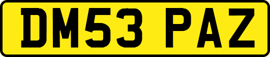 DM53PAZ