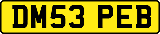 DM53PEB