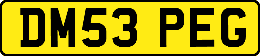 DM53PEG