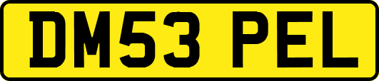 DM53PEL
