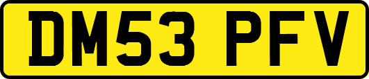 DM53PFV