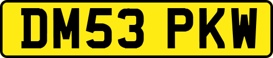 DM53PKW