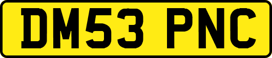 DM53PNC