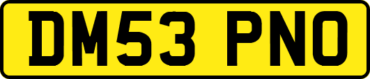 DM53PNO