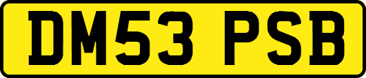 DM53PSB