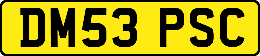 DM53PSC