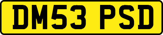 DM53PSD