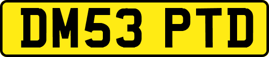 DM53PTD