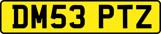DM53PTZ