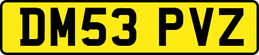 DM53PVZ