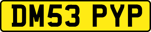 DM53PYP