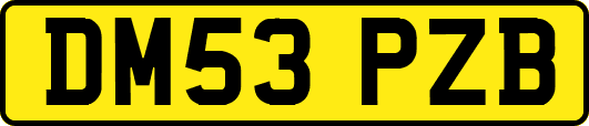 DM53PZB