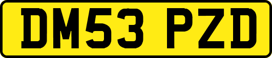 DM53PZD