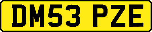 DM53PZE