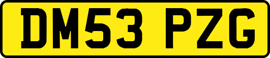 DM53PZG
