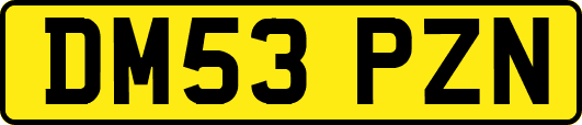 DM53PZN
