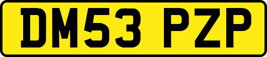 DM53PZP