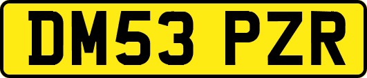 DM53PZR