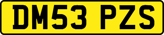 DM53PZS