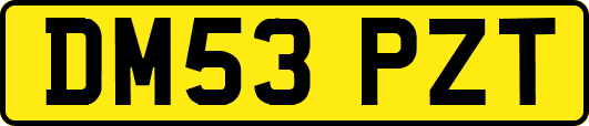 DM53PZT