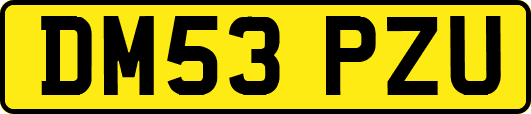 DM53PZU