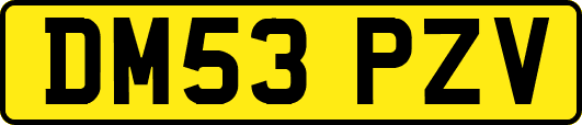 DM53PZV