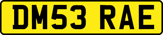 DM53RAE