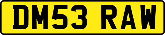 DM53RAW