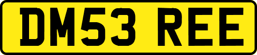 DM53REE