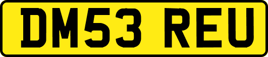 DM53REU