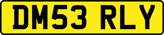 DM53RLY
