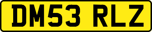 DM53RLZ