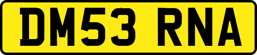 DM53RNA