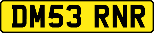 DM53RNR