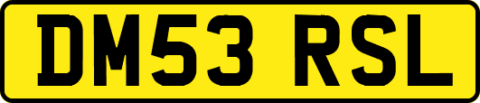 DM53RSL